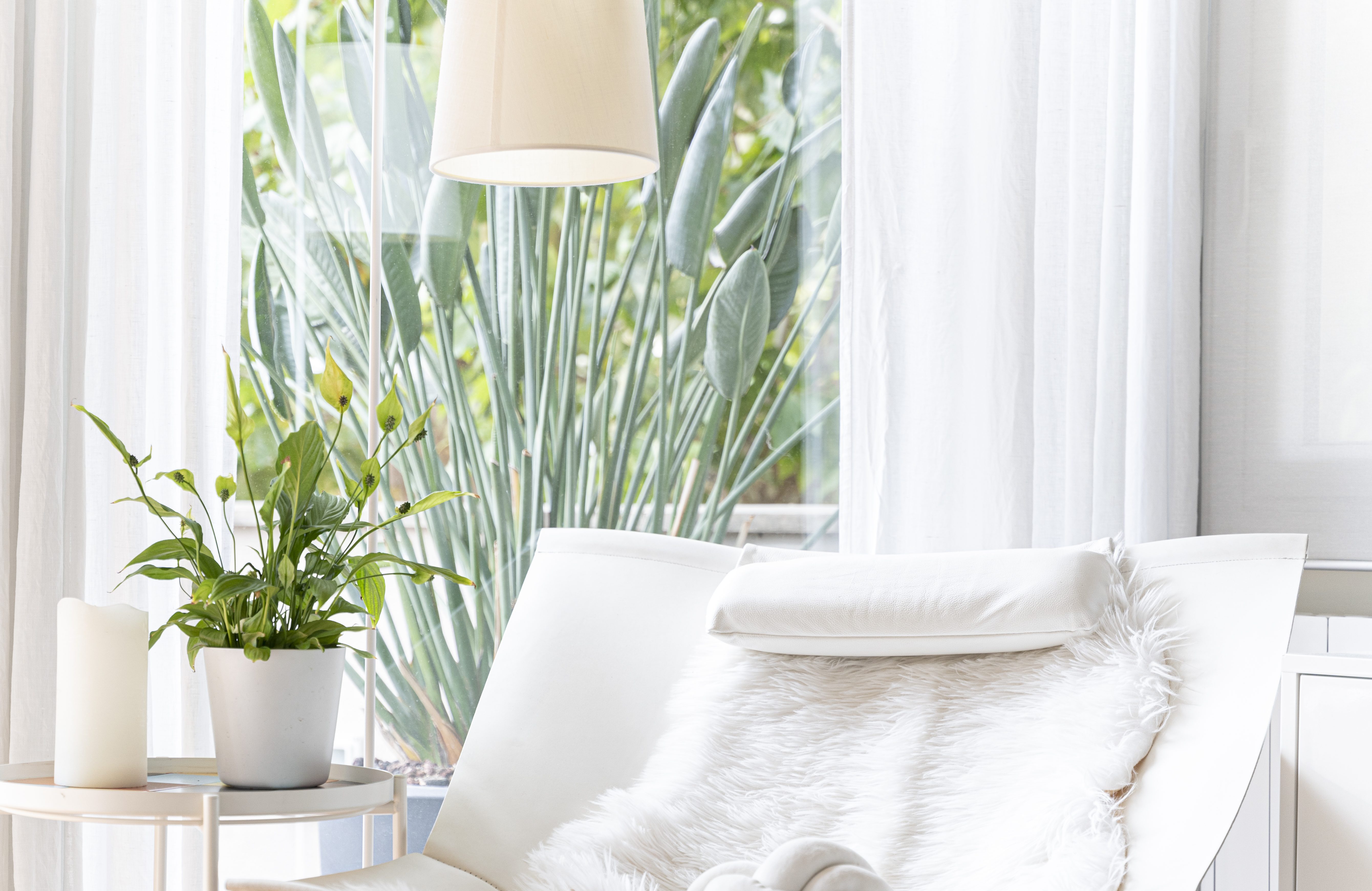 decoracion para el alma sonia palma